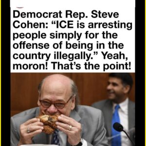 Democrat Rep. Steve Cohen: “ICE is arresting people simply for the offense of being in the country illegally. Democrat Rep. Steve Cohen: “ICE is arresting people simply for the offense of being in the country illegally.