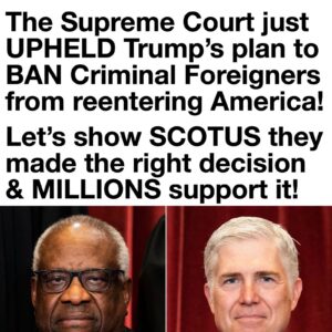 The Supreme Court just upheld President Trump’s plan to ban criminal foreigners from reentering America.