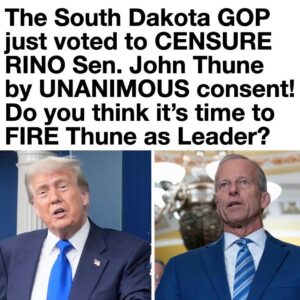 The Senate Resolutions Committee just voted to CENSURE John Thune by UNANIMOUS consent!