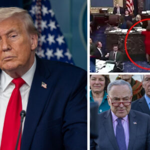 Senate Passes Bill To Crack Down On Smuggling Of U.S. Chips To China Senate Passes Bill To Crack Down On Smuggling Of U.S. Chips To China